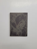 Edward Poitras: Canada XLVI Biennale di Venezia By Gerald McMaster paperback book