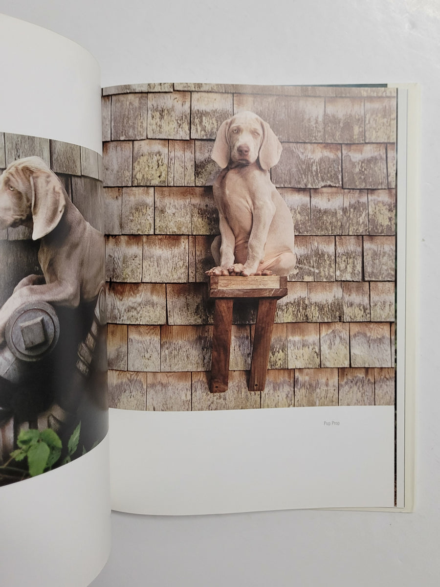 William Wegman Puppies PHOTOGRAPHY BOOKS TORONTO D & E LAKE LTD