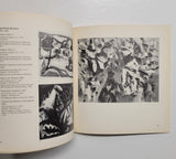 Other Realities: The Legacy of Surrealism in Canadian Art by Natalie Luckyj paperback book