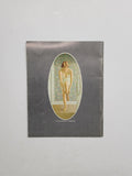 Christopher Pratt by Peter Bell paperback book