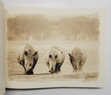 Classic Africa by Michael Poliza hardcover book