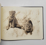 Classic Africa by Michael Poliza hardcover book