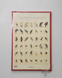 Edward Lear: The Parrots, The Complete Plates by Francesco Salinas, Sophia Willmann and Rainer Willmann taschen book