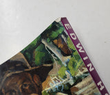 Edwin Holgate by Laura Brandon, Sandra Dyck, Brian Foss, Franoise-Marc Gagnon, Rosalind Pepall & Rosemaire Tovell paperback book
