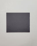 Sight Specific: Lesbians & Representation By Dionne Brand  paperback book