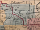 Close up of Rosedale