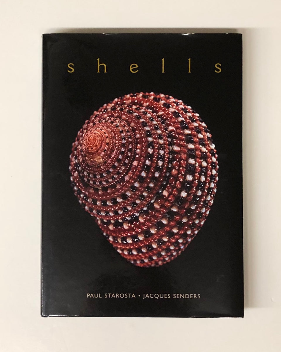 IMG-7593_1_1200x1200.jpg?v=