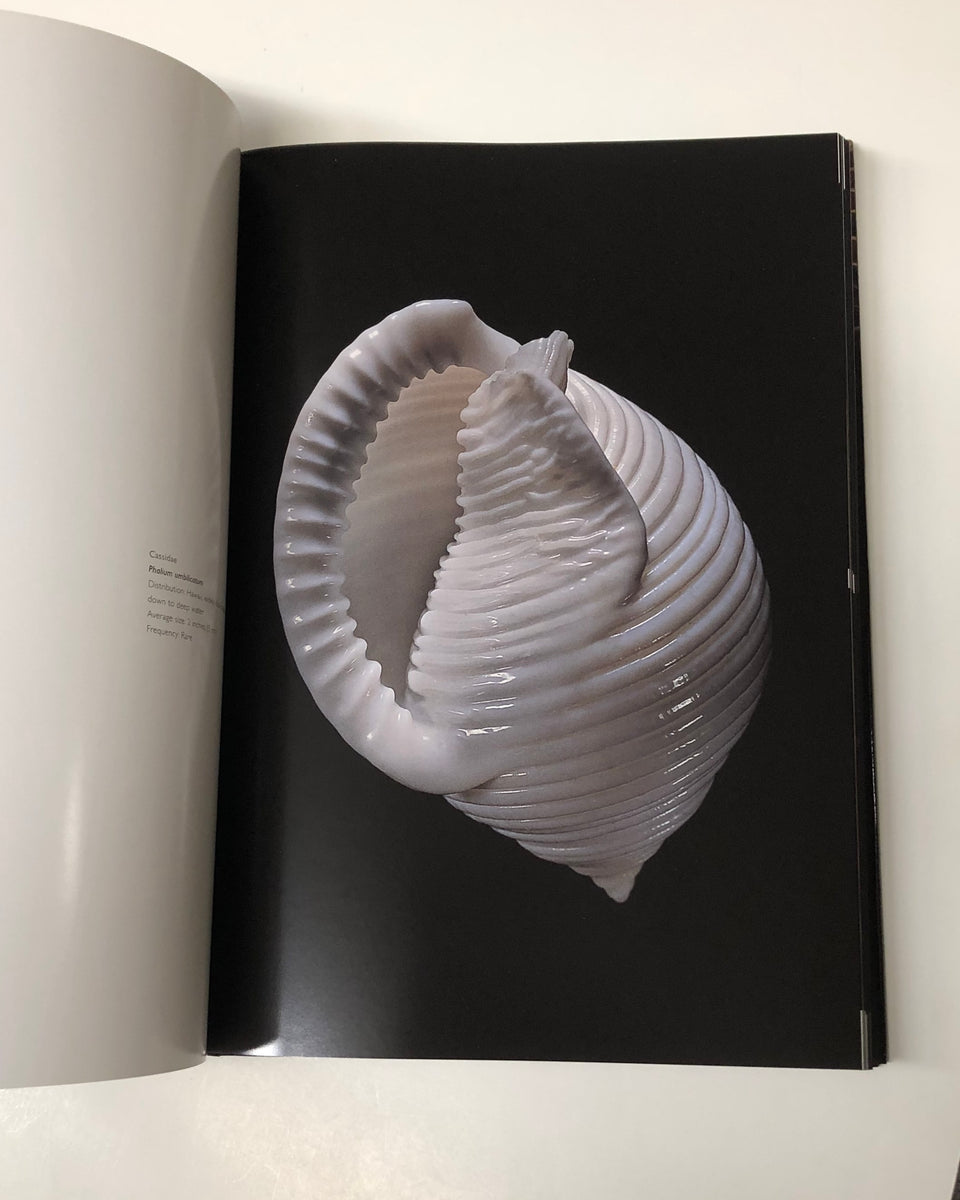 Shells by Paul Starosta & Jacques Senders | D & E LAKE LTD. BOOKS