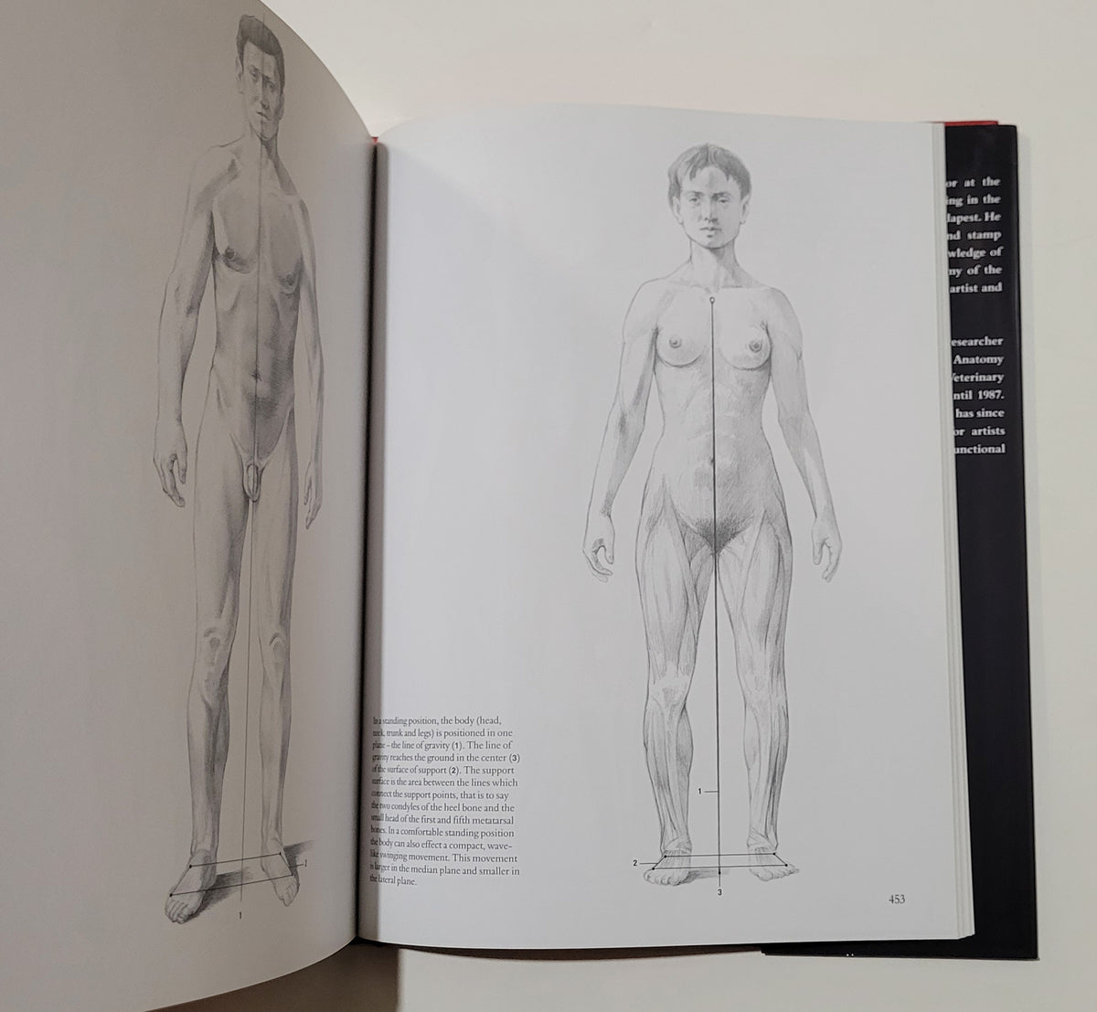 Human Anatomy for Artists by Andras Szunyogh & Geza Feher | D&E