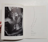 In This World: Robert Flack, Lyle Ashton Harris, Dennis Lessard by Keith Wallace paperback book