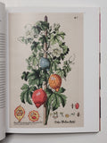 Gardens in Perpetual Bloom: Botanical Illustration in Europe and America 1600-1850 by Nancy Keeler paperback book