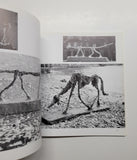 Traces of a Friendship: Alberto Giacometti by Ernest Scheidegger paperback book