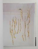 Eva Hesse: Sculpture by Elisabeth Sussman, Fred Wasserman, Yve-Alain Bois & Mark Godfrey hardcover book