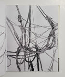 Eva Hesse: Sculpture by Elisabeth Sussman, Fred Wasserman, Yve-Alain Bois & Mark Godfrey hardcover book
