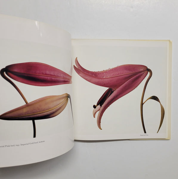 Flowers by Irving Penn FIRST EDITION | PHOTOGRAPHY BOOKS | D & E 