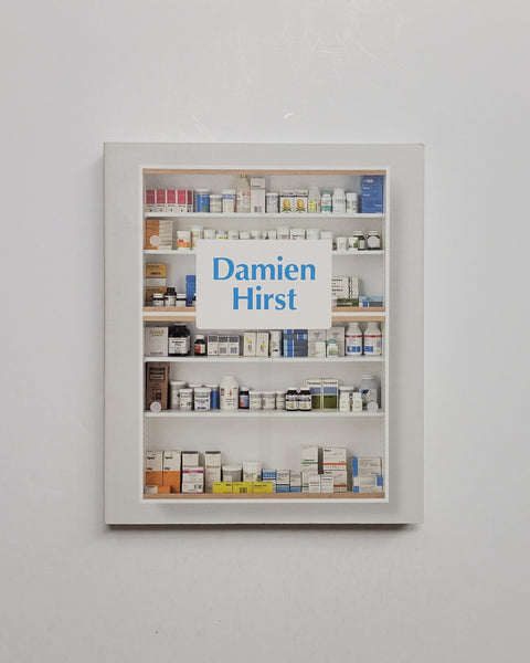 Damien Hirst by Ann Gallagher paperback book