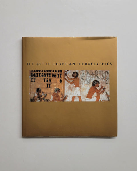 The Art of Egyptian Hieroglyphics by David Sandison hardcover book