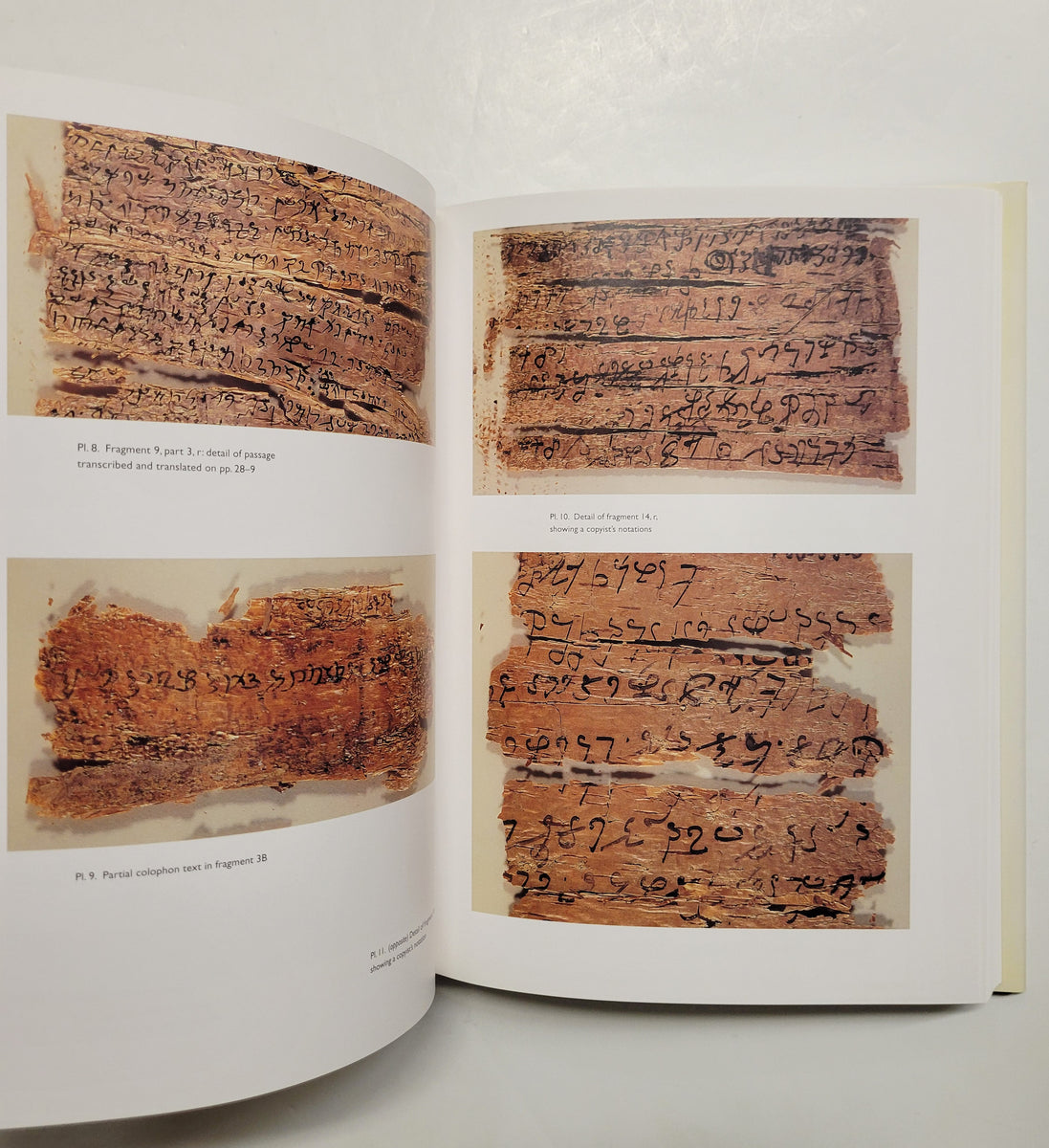 Ancient Buddhist Scrolls from Gandhara by Richard Salomon | D&E LAKE ...