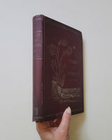 Pearls And Pebbles; Or, Notes Of An Old Naturalist by Catharine Parr Traill First Edition hardcover book