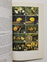 Edible and Poisonous Mushrooms of Canada by Walton J. Groves paperback book