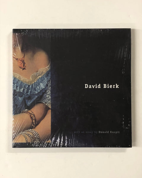 David Bierk by Donald Kuspit hardcover book