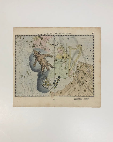 1627 Antique Celestial Map Julius Schiller Constellatio XXXVIIa & XXXVIIb Columba & Lepus (Gideon's Fleece)