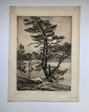 Canadian Artist William Walker Alexander Etching "The Twisted Pine" signed, titled & inscribed. 