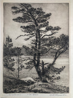 Canadian Artist William Walker Alexander Etching "The Twisted Pine" signed, titled & inscribed. 