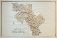 (ONTARIO). (WELLINGTON COUNTY). Antique Map of Wellington County 1906
