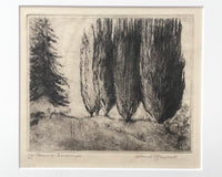 James J. Blomfield The Poplars in Scarborough Etching