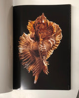 Shells by Paul Starosta & Jacques Senders hardcover book
