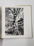 Lee Friedlander Photographs Frederick Law Olmsted Landscapes by Lee Friedlander hardcover book