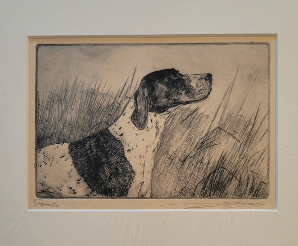 Malte Sterner [Canadian, 1903-1952] Pointer Dog Etching