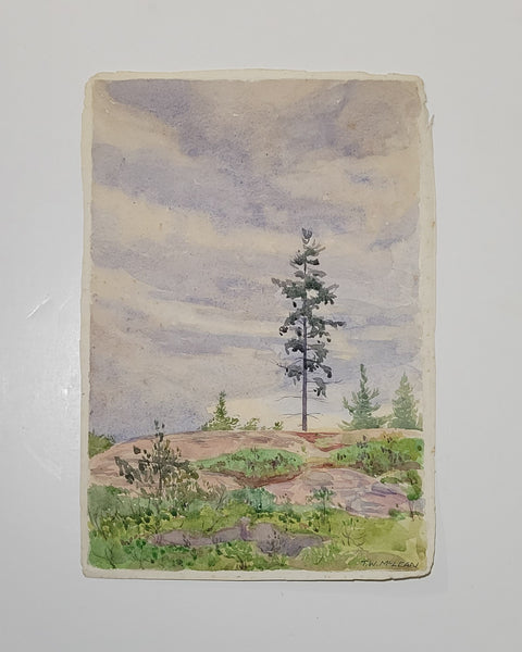 Thomas Wesley McLean [Canadian, 1881-1951] Lonely Pine Watercolour
