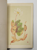 Studies Of Plant Life In Canada by Catharine Parr Traill 1885 First Edition