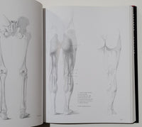 Human Anatomy for Artists by Andras Szunyogh & Geza Feher
