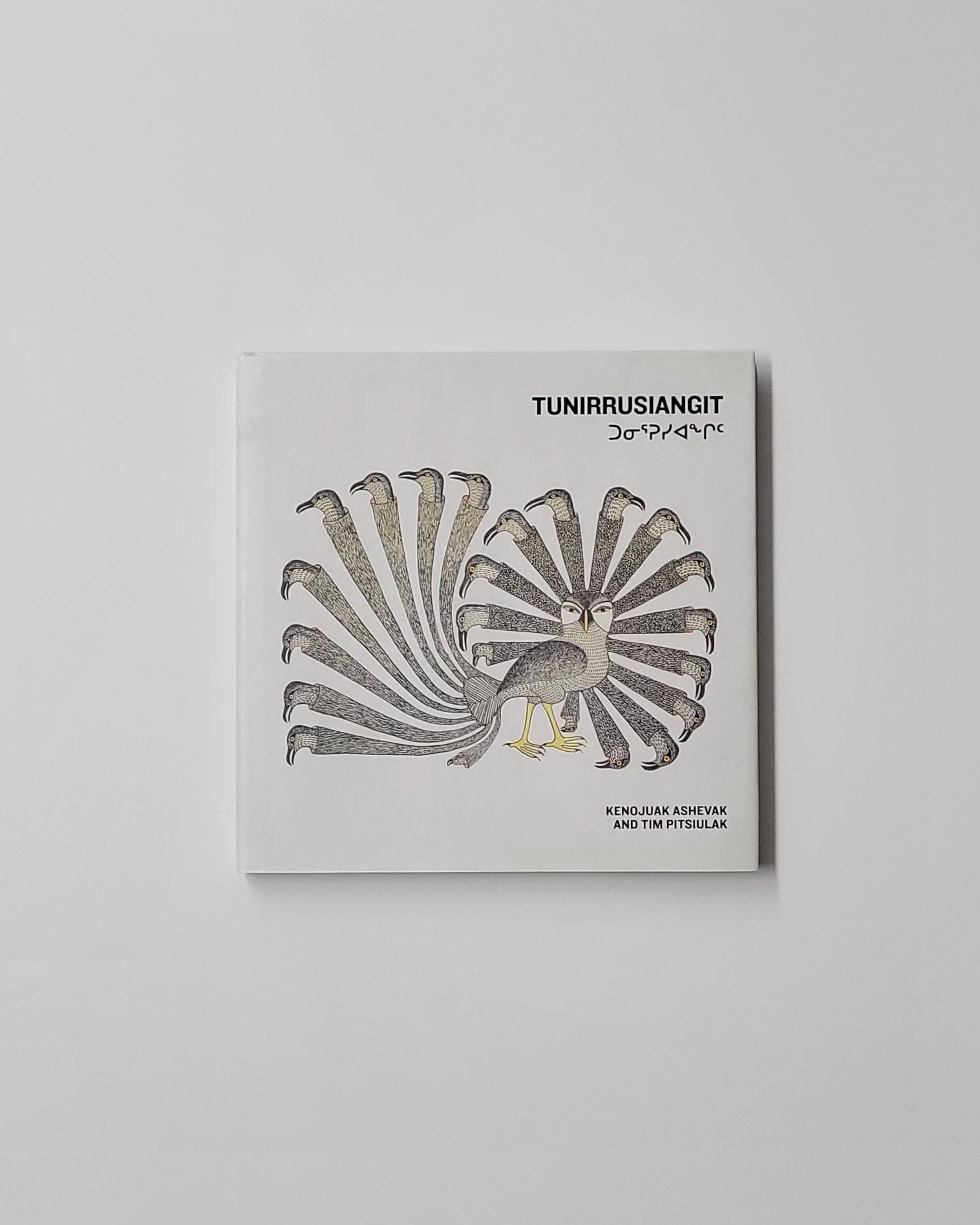 Murmansk viloyati Arktika doirasida tanishish