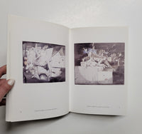 Luc Tuymans: The Arena by Stephan Berg hardcover book