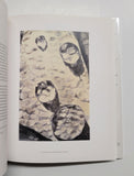 Luc Tuymans by Madeline Grynsztejn & Helen Molesworth hardcover book