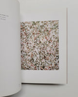 Lee Krasner: Collages and Paintings by Edward Albee