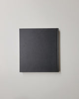Luis Camnitzer by Hans-Michael Herzog, Deborah Cullen, Luis Camnitzer, Maren Welsch, Michel Glasmeier, Sabeth Buchmann hardcover book