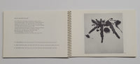 Post Painterly Abstraction by Clement Greenberg paperback book